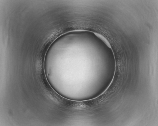 X0000116040642200911201346