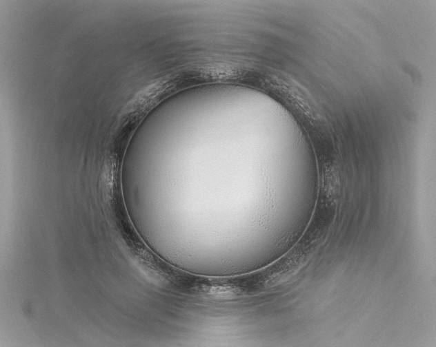 X0000116040645200911201346