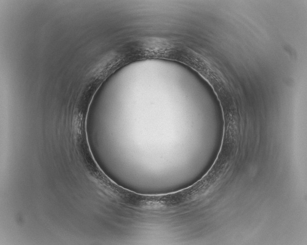 X0000116040649200911201346