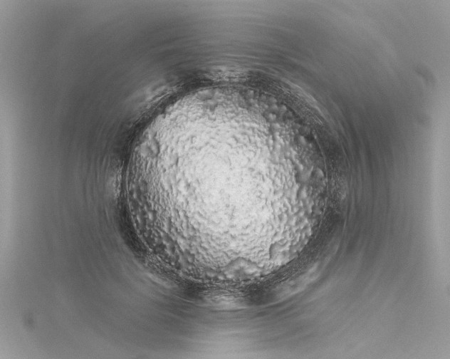 X0000116040652200911201346