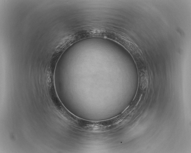 X0000116040654200911201346