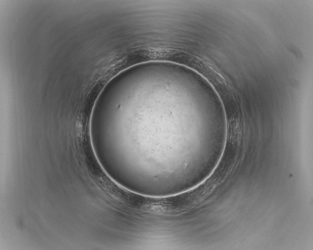 X0000116040655200911201346