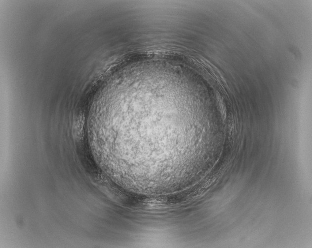 X0000116040660200911201346