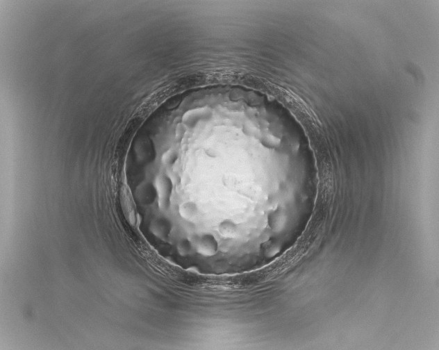 X0000116040661200911201346