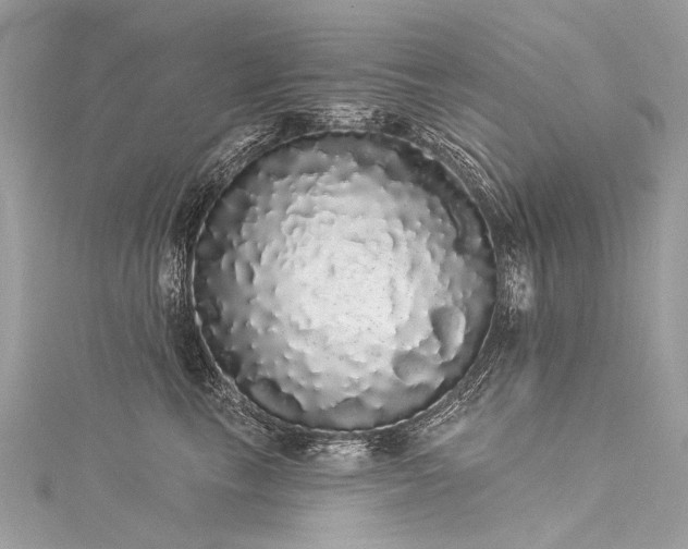 X0000116040665200911201346