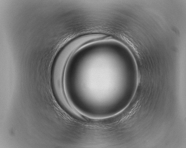 X0000116040673200911201345