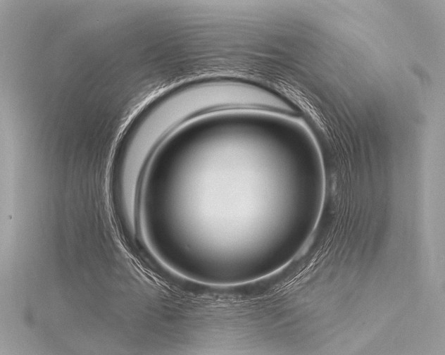 X0000116040676200911201345