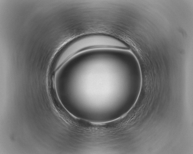 X0000116040680200911201345