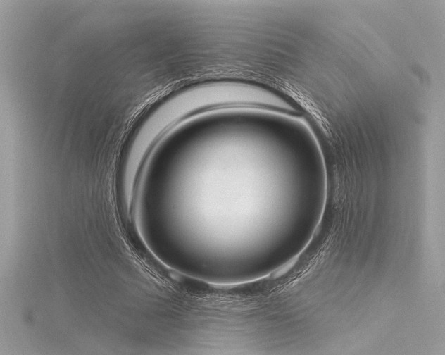 X0000116040681200911201345