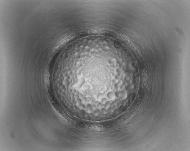 X0000116040683200911201345