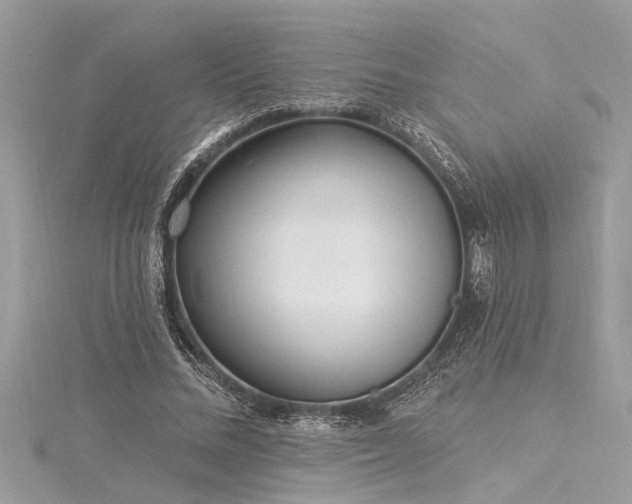 X0000116040684200911201345