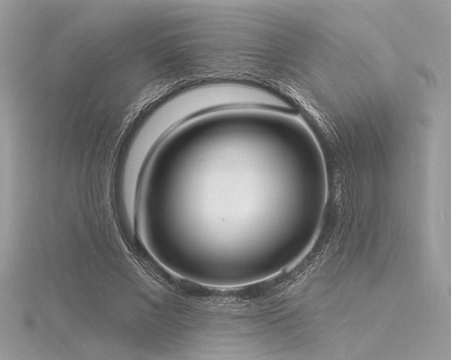X0000116040685200911201345