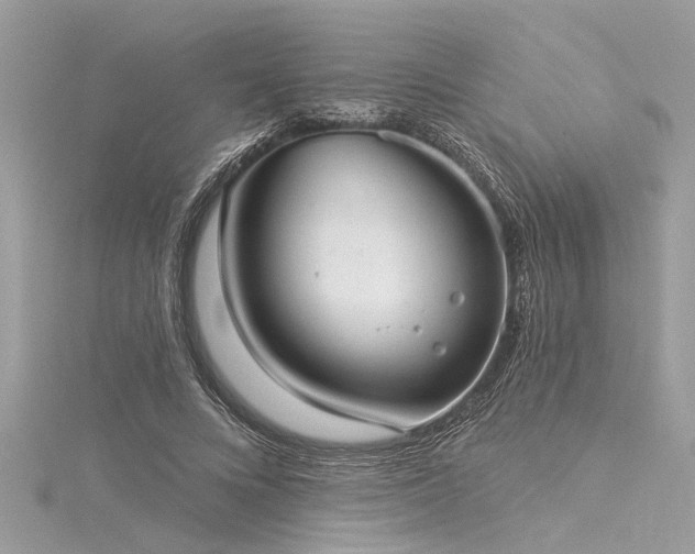 X0000116040688200911201345