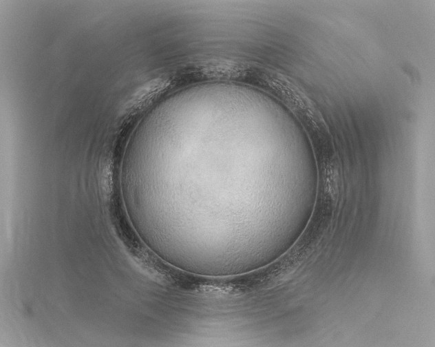 X0000116040690200911201345