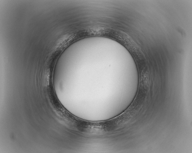 X0000116040694200911201345