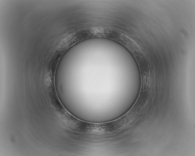 X0000116040702200911201345
