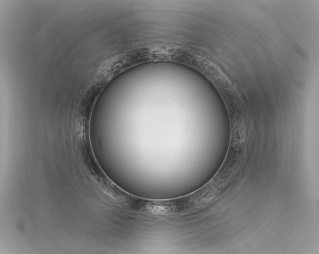 X0000116040706200911201345