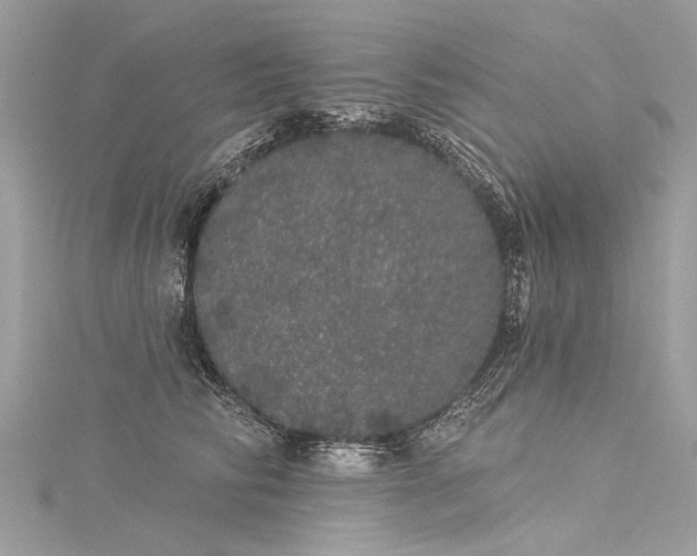X0000116040710200911201345
