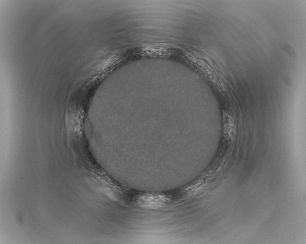 X0000116040712200911201345