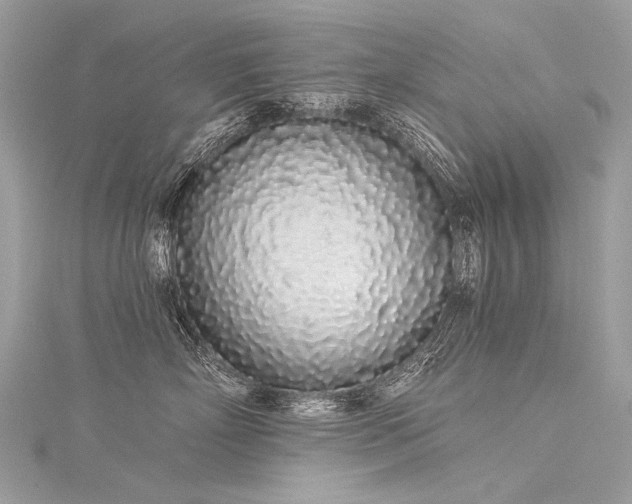 X0000116040718200911201345