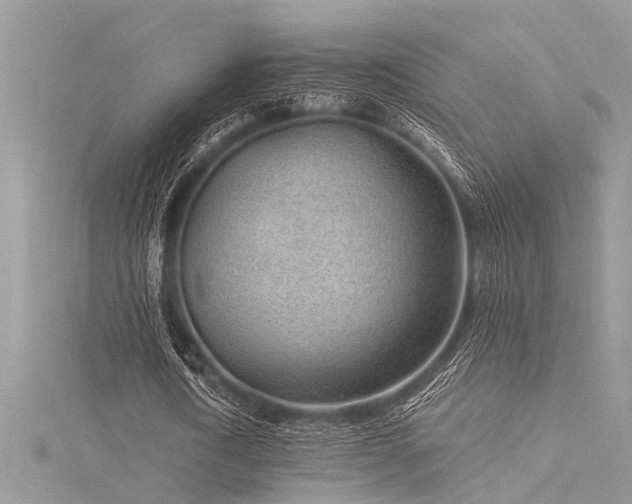 X0000116040722200911201344