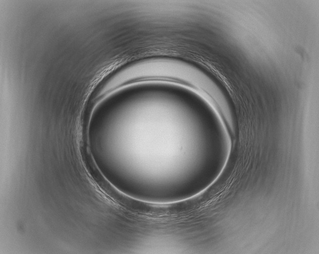 X0000116040725200911201344