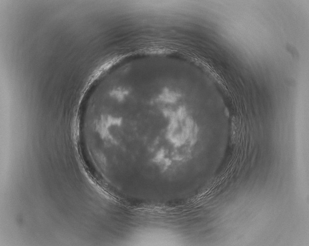 X0000116040726200911201344