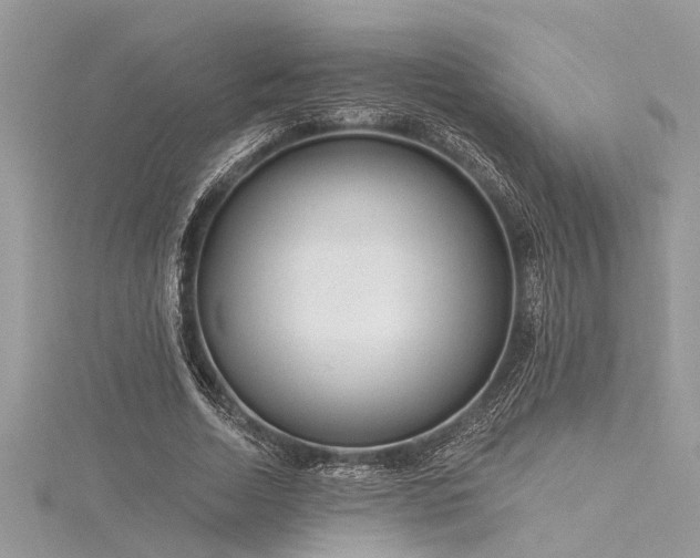 X0000116040730200911201344
