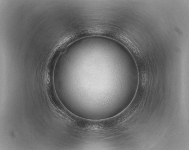X0000116040731200911201344
