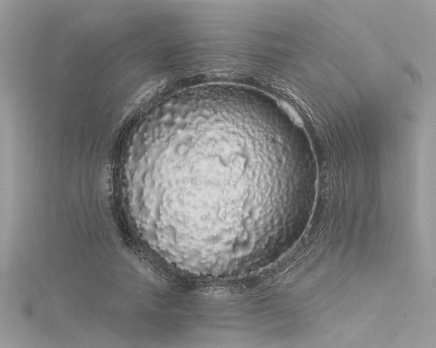 X0000116040738200911201344