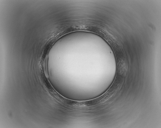 X0000116040747200911201344