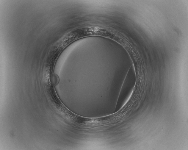 X0000116040754200911201344