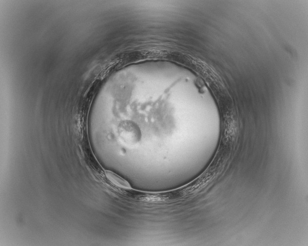 X0000116040759200911201345