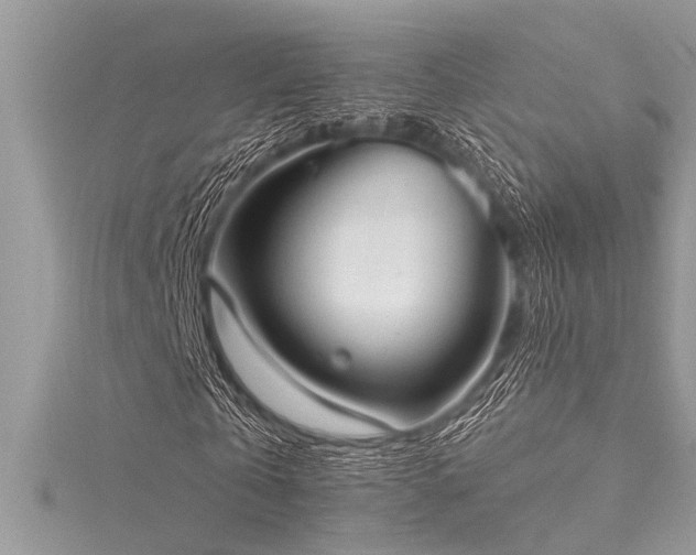 X0000116040769200911201344