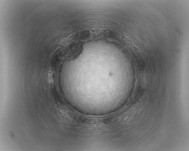 X0000116040770200911201344