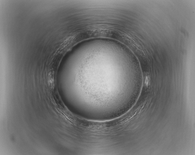 X0000116040771200911201344