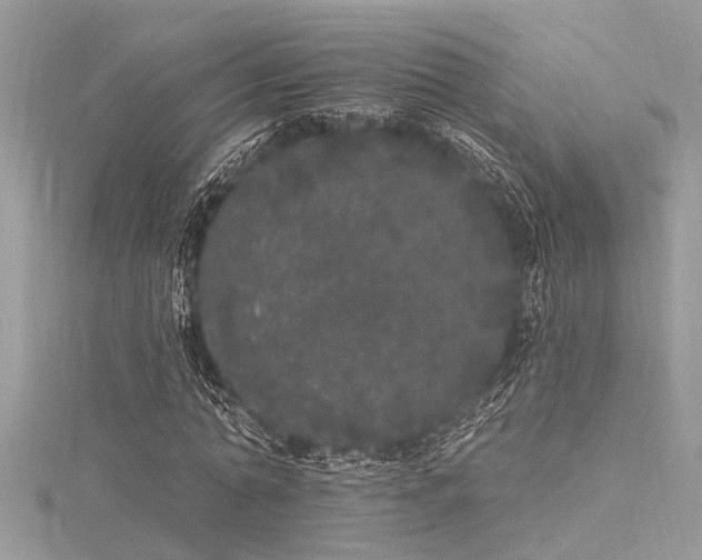 X0000116040774200911201344