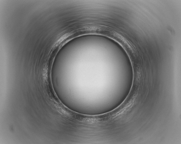 X0000116040778200911201344