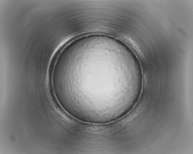X0000116040780200911201344