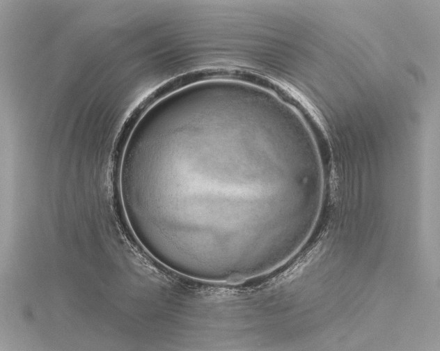 X0000116040783200911201344