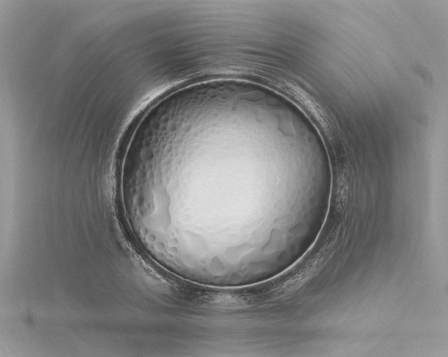 X0000116040787200911201344