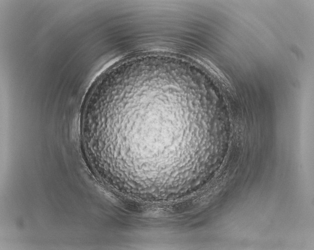 X0000116040790200911201344