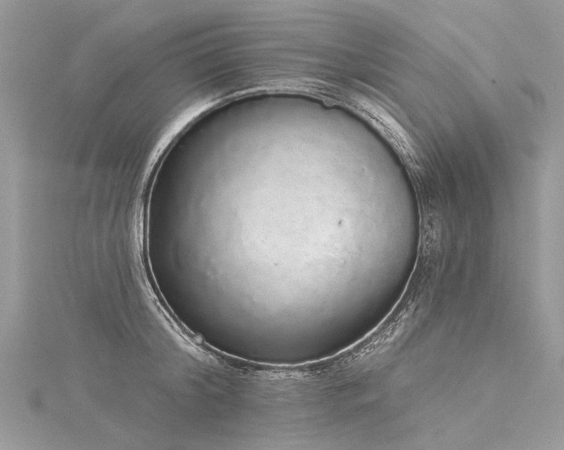 X0000116040804200911201343