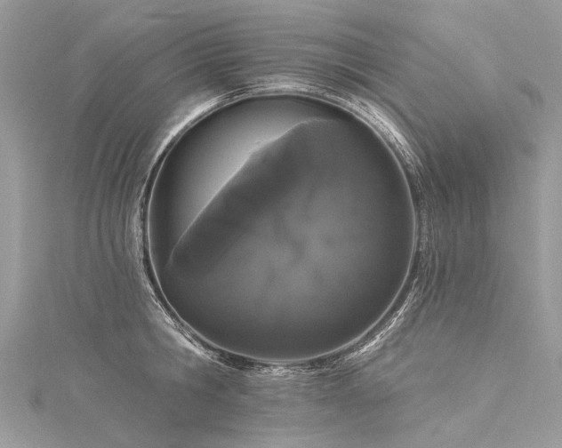 X0000116040806200911201343