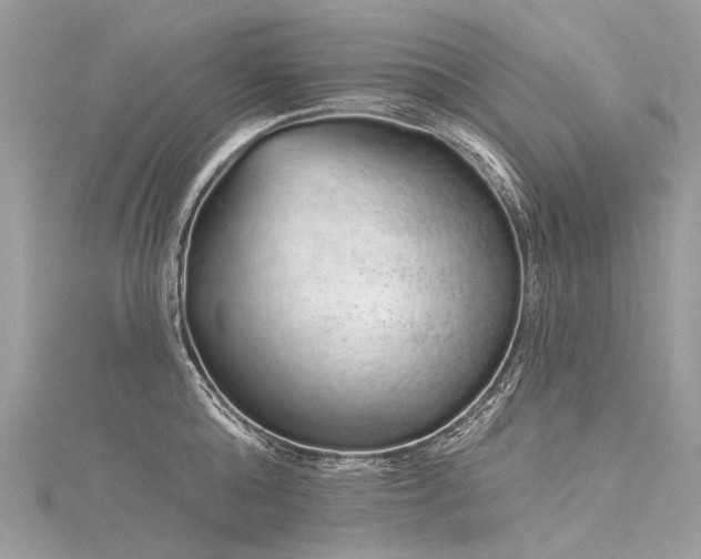 X0000116040808200911201343