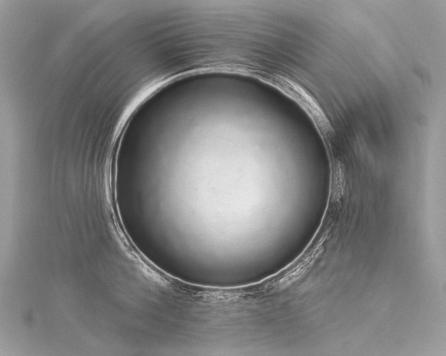 X0000116040812200911201343