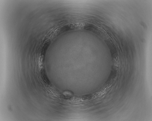X0000116040818200911201343