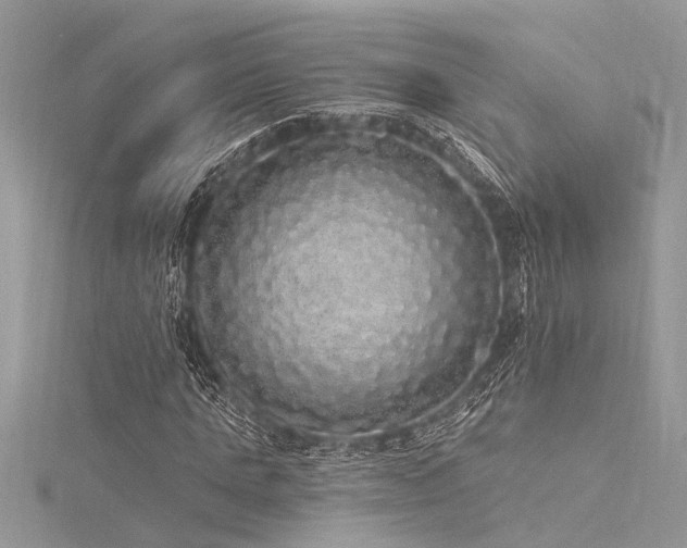 X0000116040821200911201343