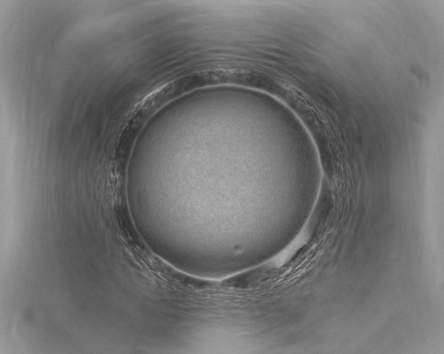 X0000116040822200911201343