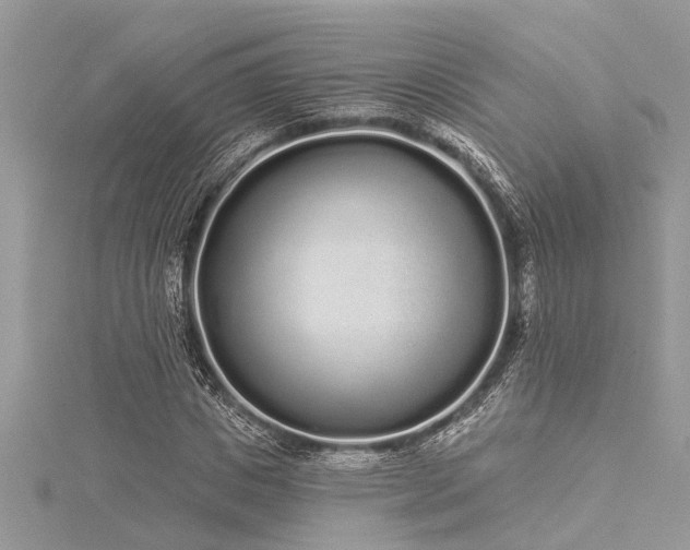 X0000116040825200911201343